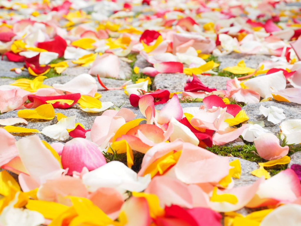 save money by making your own petal confetti